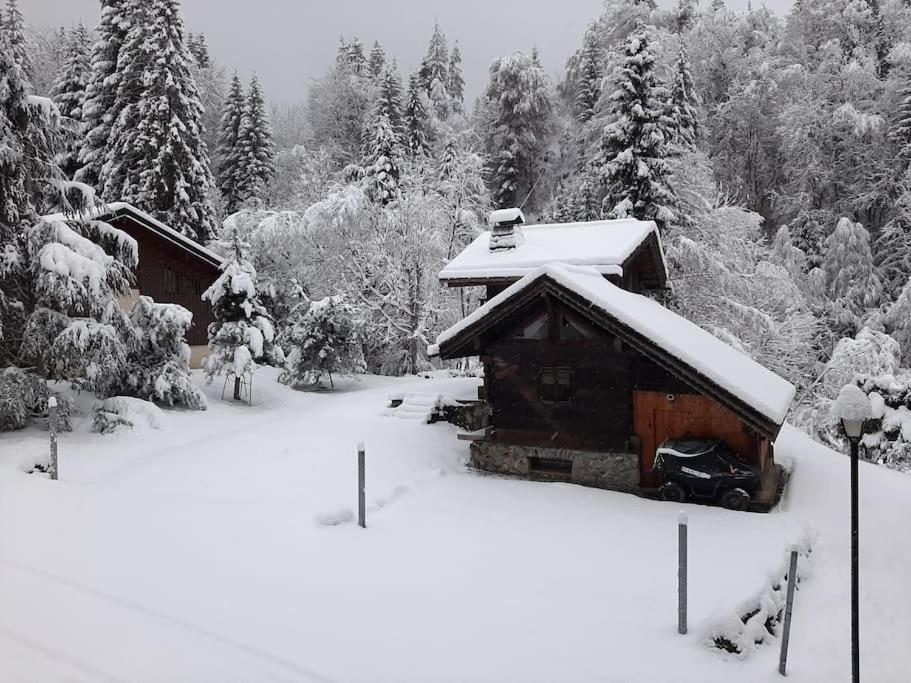 Cosy Au Pied Des Pistes Apartamento *